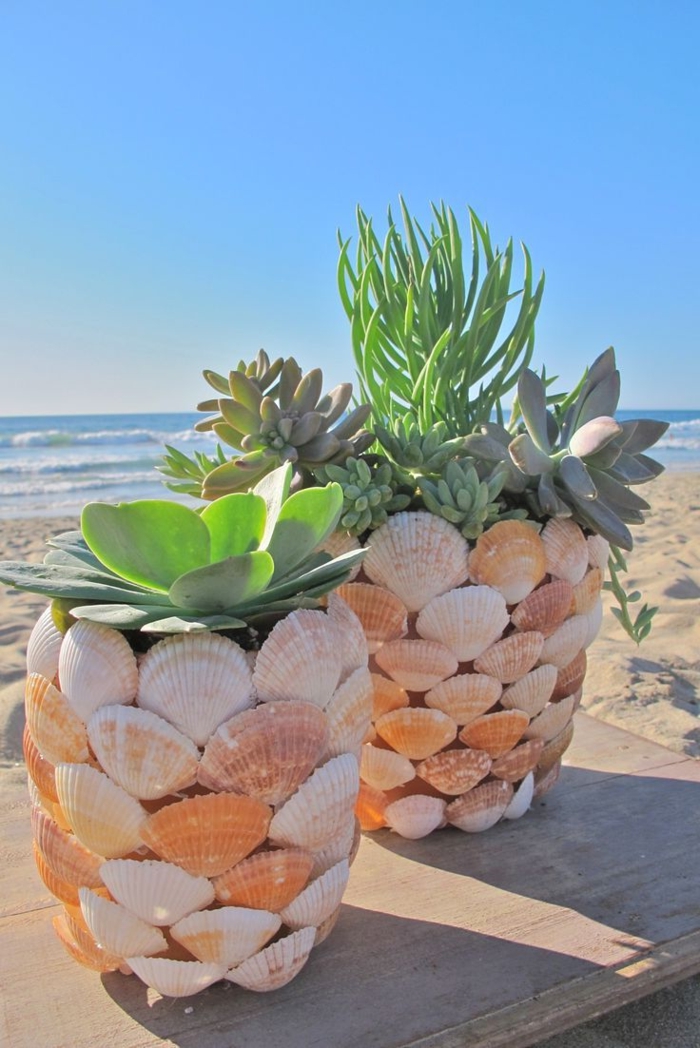 Саксийни растения черупки плаж Декорация морски пясък-лято