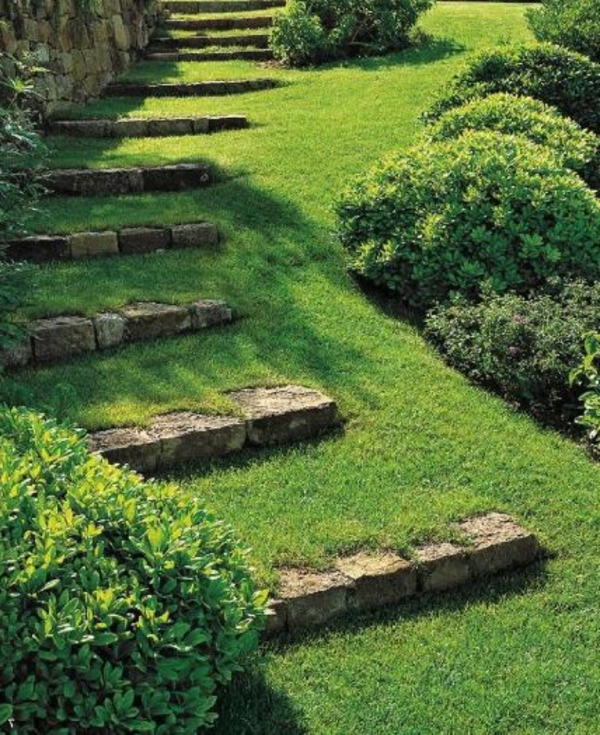 Σκάλα με χόρτο-δημιουργικό σχεδιασμό κήπου