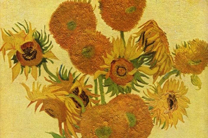 Vincent van Gogh suncokret slika poznatog umjetnost