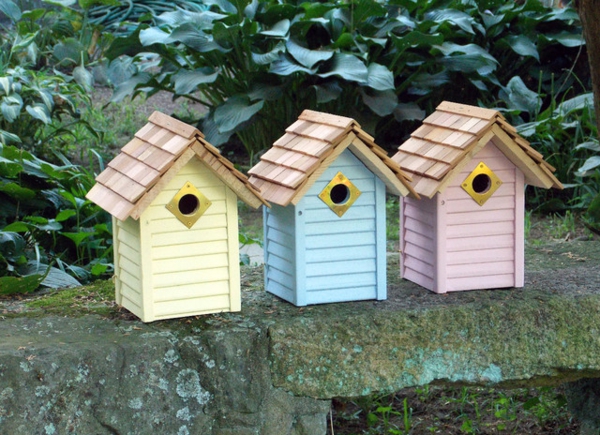 hranjenje ptica kuća-se-odluka pastelnim bojama