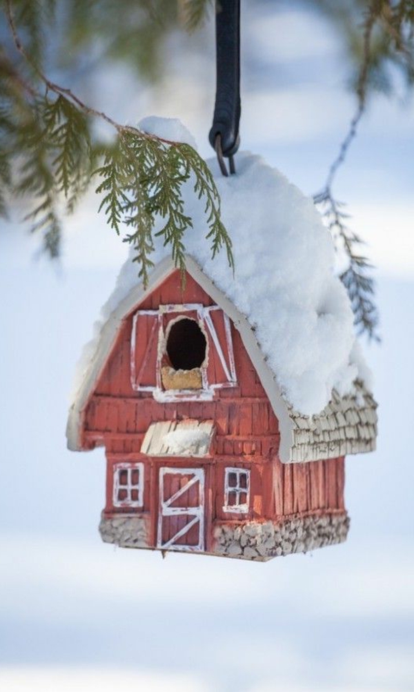 krme Kuća zimu Ptice drva Idea