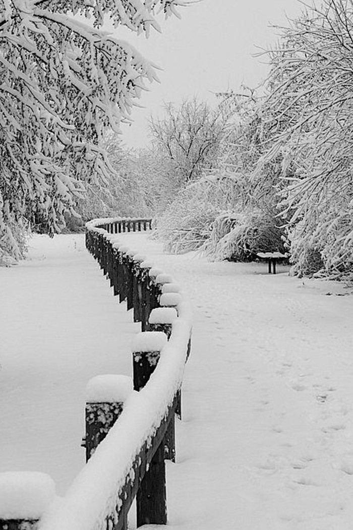 Zima slika Minnesota Wintermotive Snow romantiku