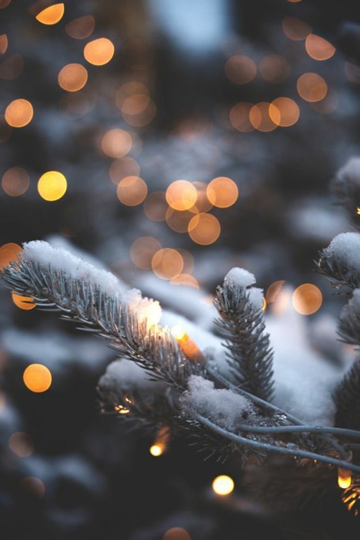 Зимни Pictures коледни елхови клони, покрити с--малък сняг светлини