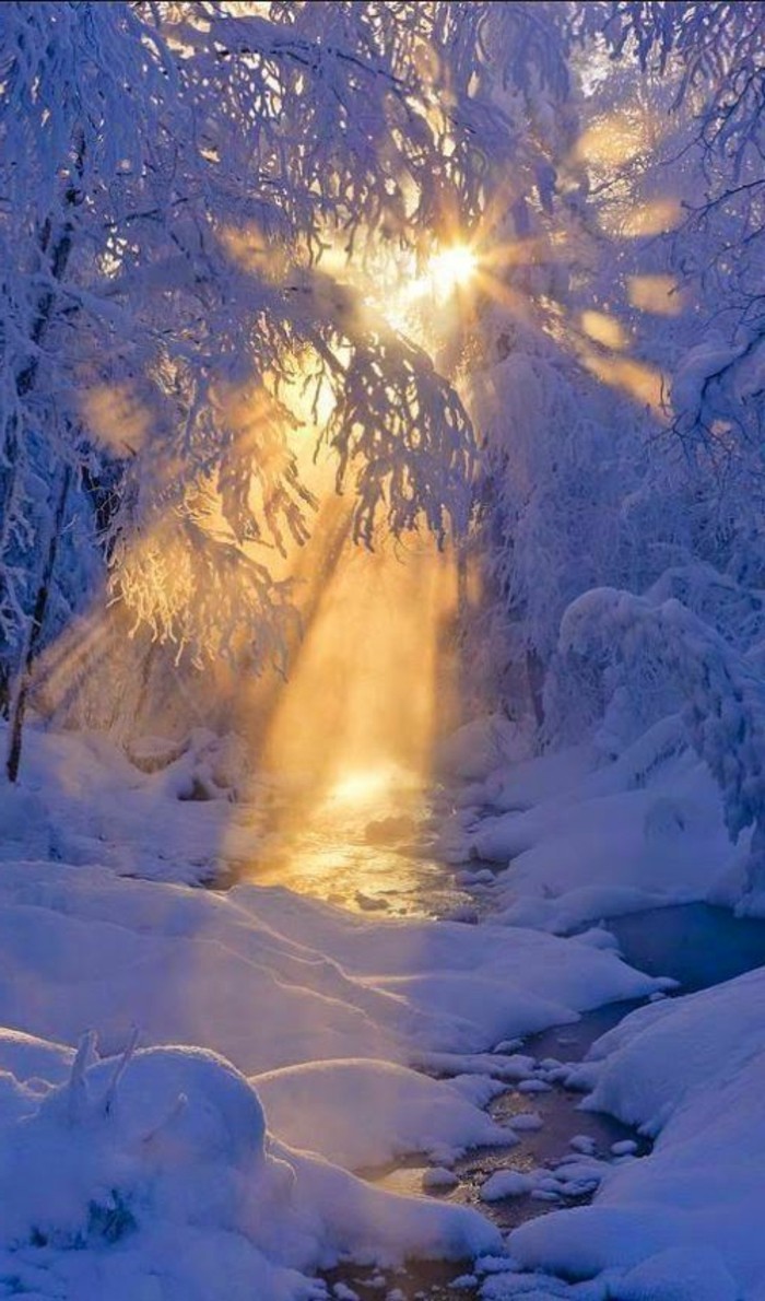 Winterimpression Napfény az erdőben-all-in-hó