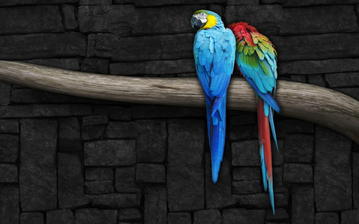 абстрактното изкуство е двуцветна Parrot по-а-клон на дърво