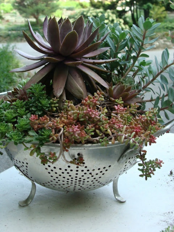 vaisselle ancienne en-un pot de fleurs à usage idée