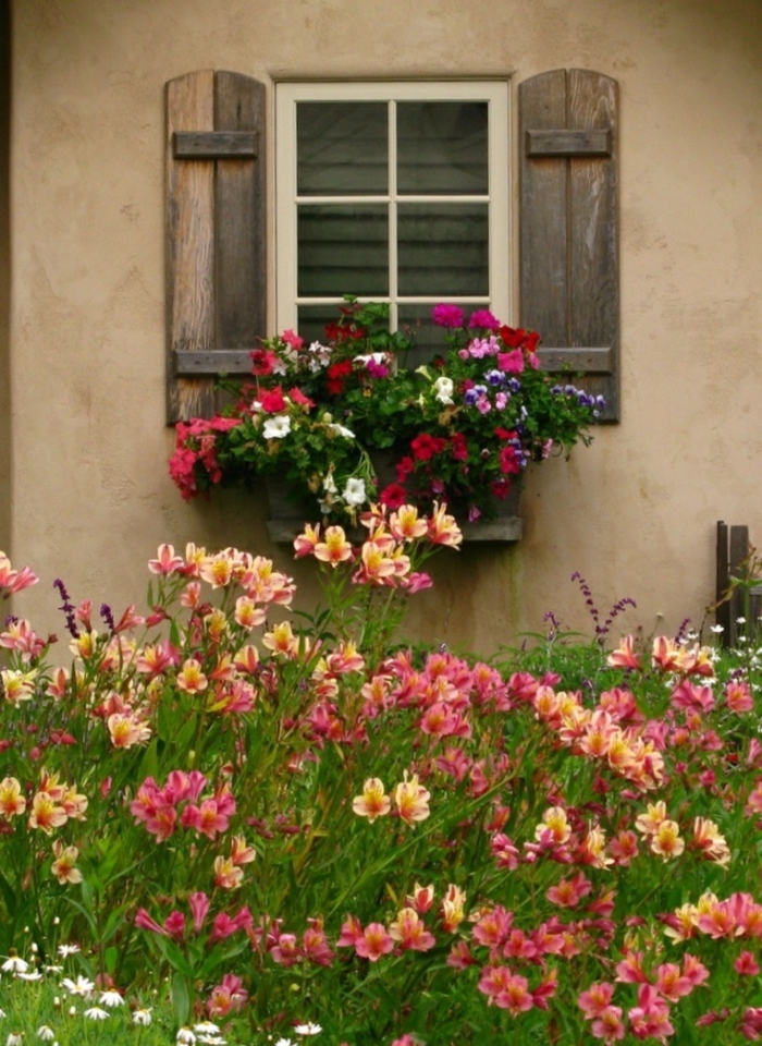 antigua casa de jardín hermoso de la flor del obturador de madera