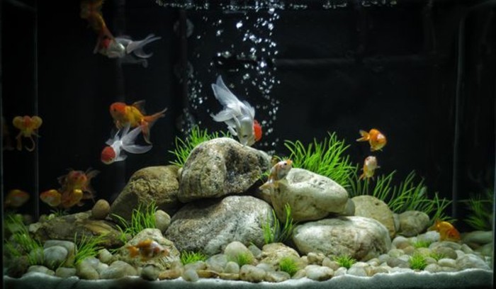 akvarij-uređaja aqarium-deco-akvarij-za-riba-Prilagodba-stones-