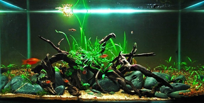 аквариум-устройство с-камъни-пясък и-Астен аквариум-светъл аквариум-грим