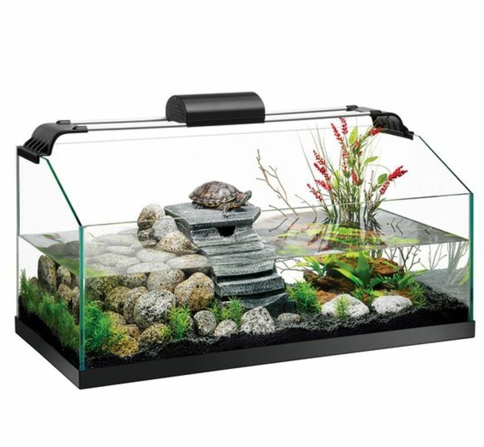 аквариум-за-костенурки вода растителни камъни-schildkrote-чиста вода-steinedeko аквариум-устройство