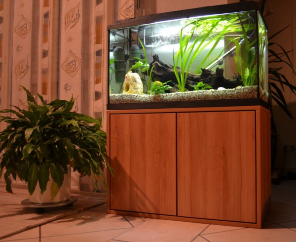 akvárium alsószekrény és egy zöld növény díszítéssel