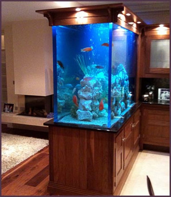 аквариум с шкаф със синя светлина