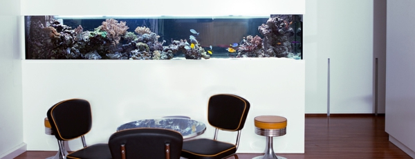 akvárium szobaosztó az ebédlőasztal mögött - fehér faltervezés