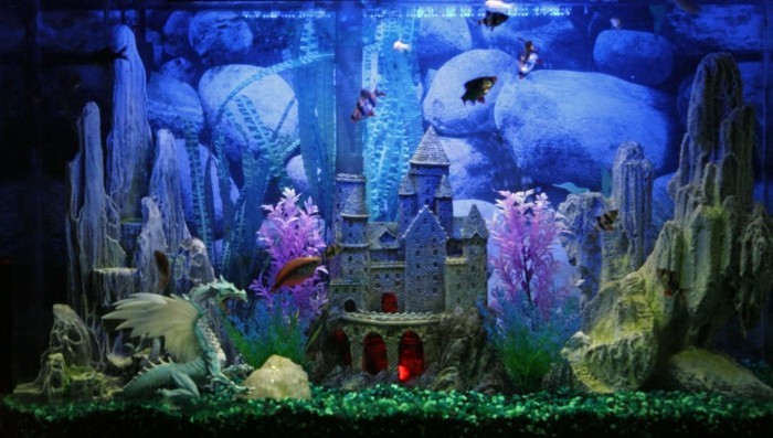 аквариум-затворен аквариум-деко-драконови камъни-малко екзотични риби аквариум-комплект
