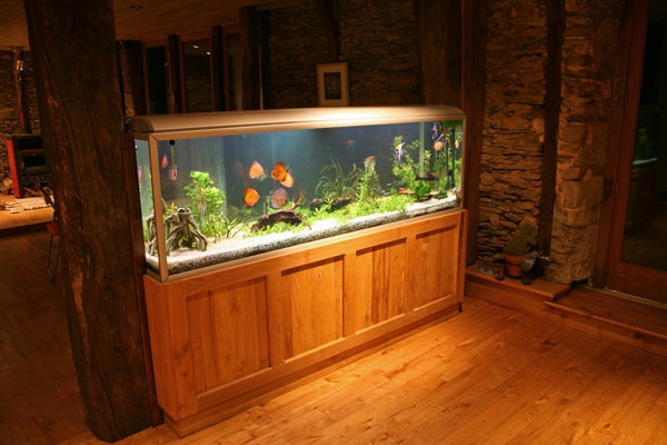 аквариум-шкаф-от-дърво-просто осветление-луксозен апартамент