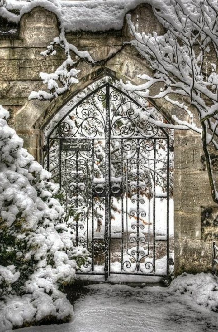 भव्य शीतकालीन चित्र गेट लोहे के पेड़ से ढके-साथ-बर्फ