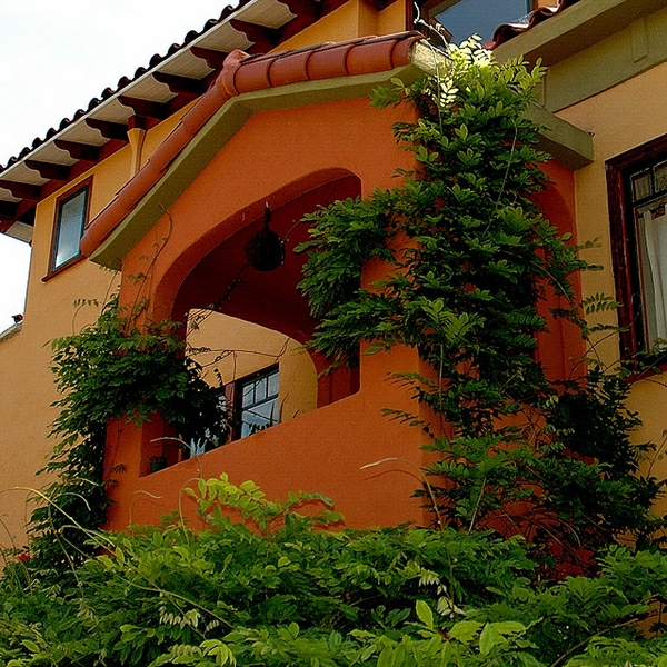 зашеметяващ дизайн на фасадата на къщата - с растения