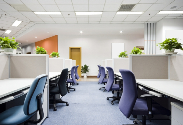 sala de oficina interesante con sillas de color púrpura
