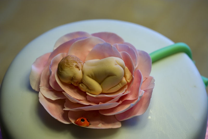 бебе-пай-а-красива роза