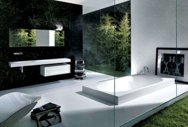 suvremena dekoracija kupaonice - stakleni zid i zelene biljke