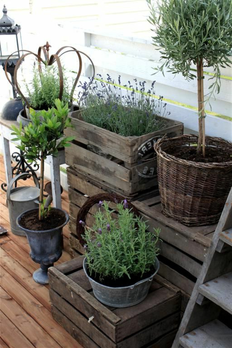 balkon-biljka-sadnja kutije sa green--