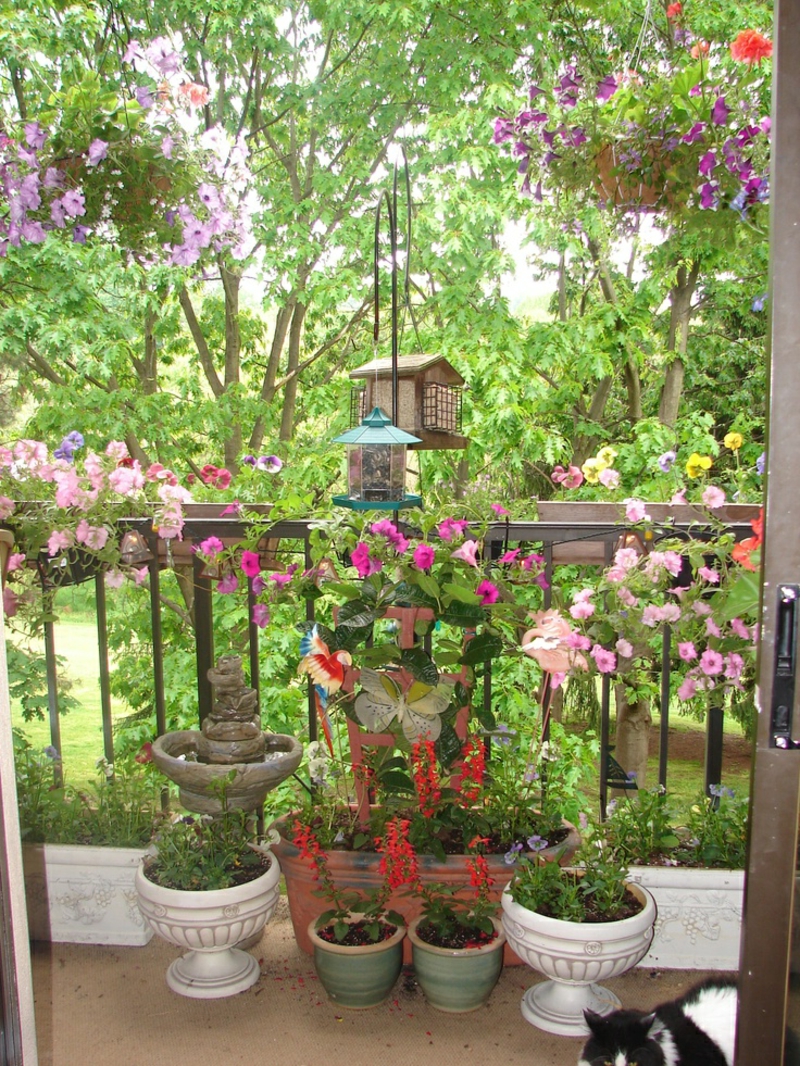 شرفة النباتات فائقة العديد-جميلة-الزهور