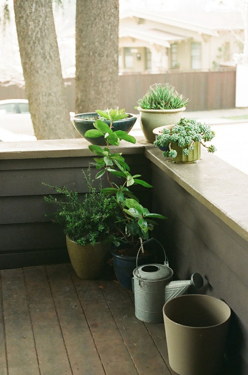 balkon-biljka-super-izgleda