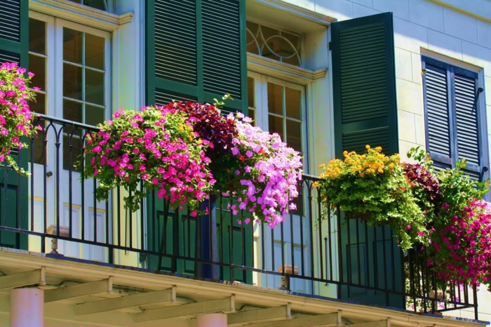 balkon-cvijeće-šarene boje