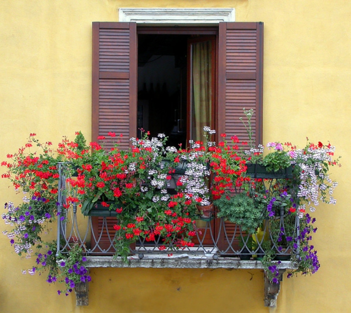 balkon-cvijeće-žuto-zid