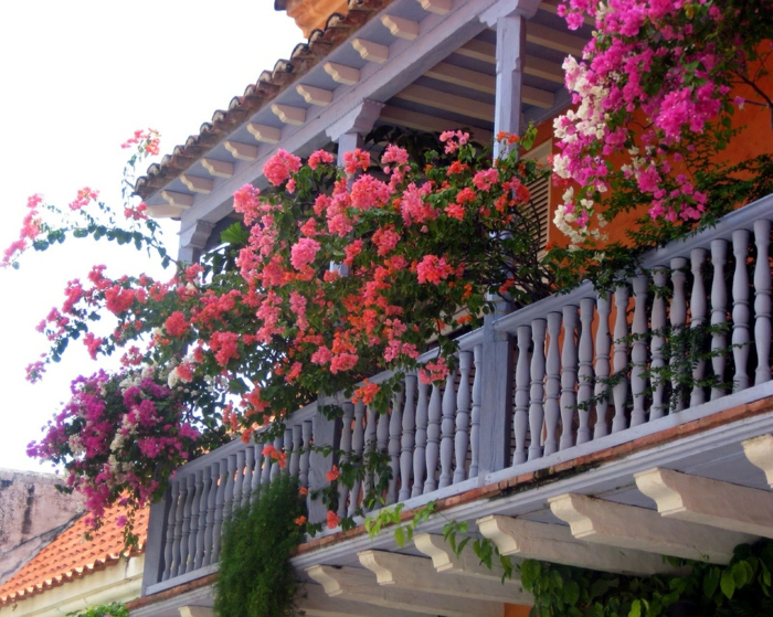 балконски цветя--дървена конструкция