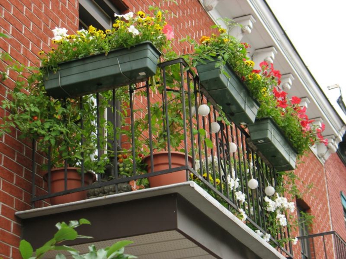 balkon-cvijeće-talijanski-pogled