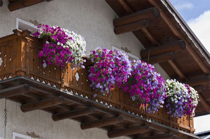 erkély virágok-klasszikus kialakítás