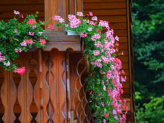erkély virágok rózsaszín-szép színes