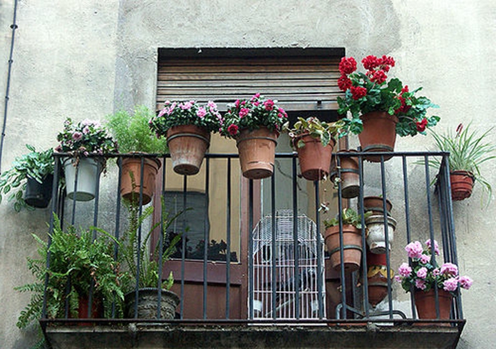 балкон-цветя-много саксии