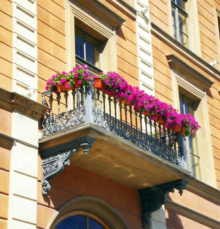 балкон-цветя-zyklamenfarbige-растение