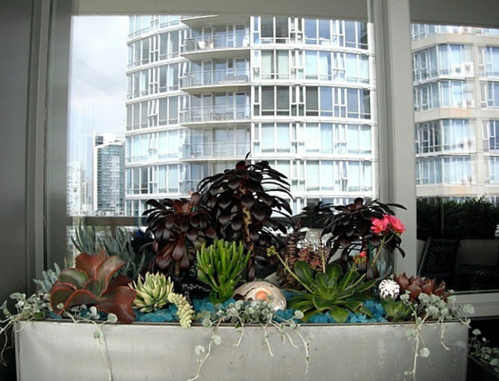 балкон-декорация-много растение най-прозореца