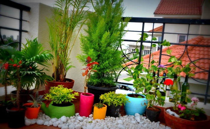 balkon-dekoracija-više biljaka u-šarene lonci