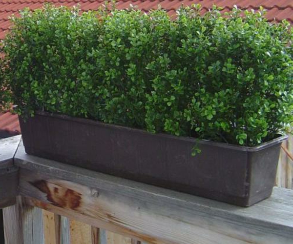 bardage de balcon -vert-plante en pot-confortable-ambiente-sur-la-terrasse