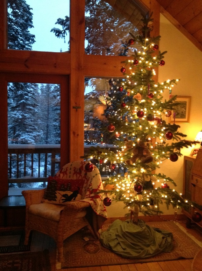 مضاءة weihnachtsdeko على النوافذ أنيقة شجرة عيد الميلاد
