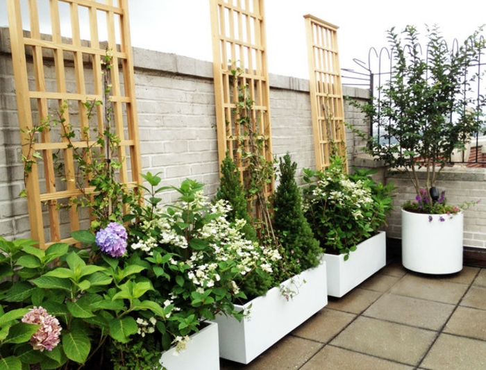 bepflanzung- krovna terasa i balcony-