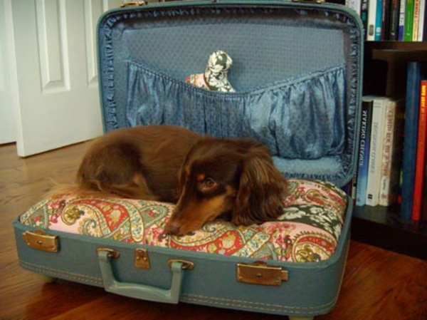 tehdä bed-by-koira-in-matkalaukku itsen