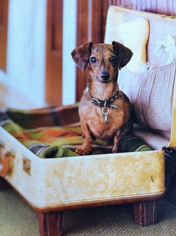 vuode-by-koira-huonekalujen kanssa vintage-look-tee se itse