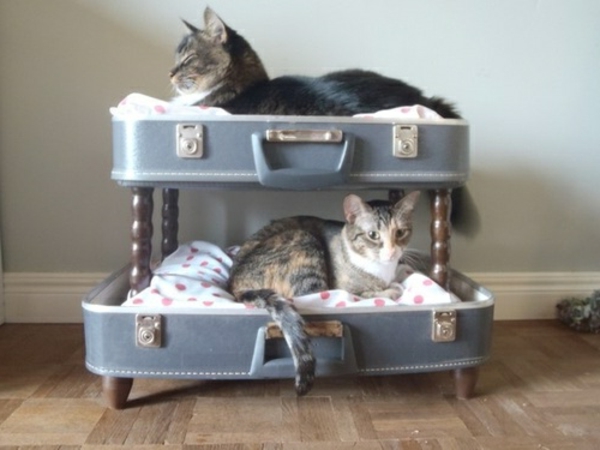 sängyt-for-cat-huonekalujen kanssa vintage-look-tee se itse