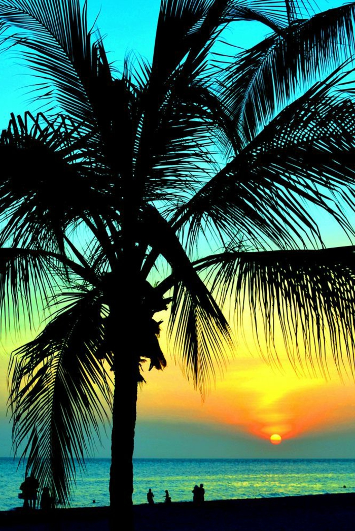 image de palmiers en arrière-plan coloré