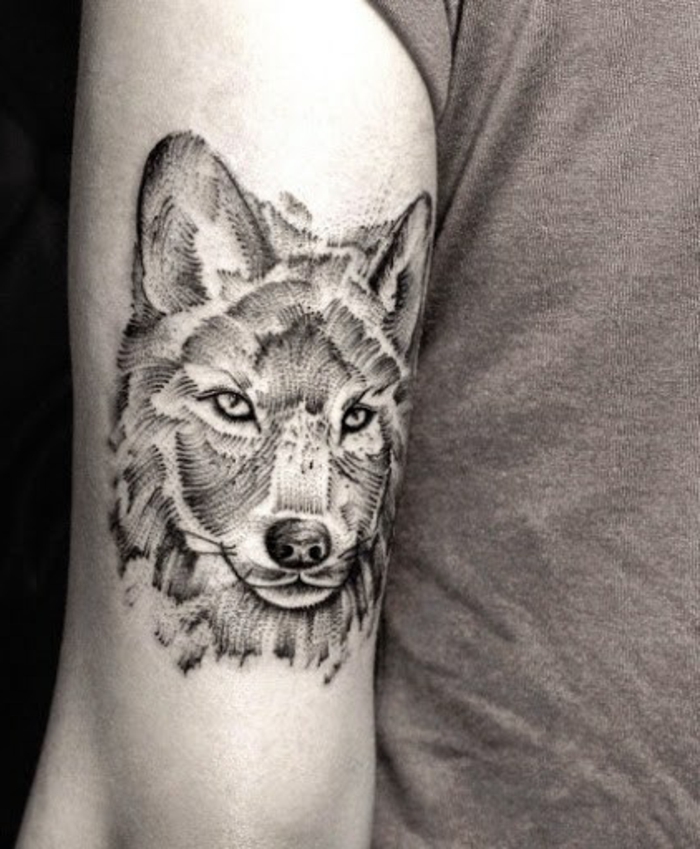 Aquí hay otra gran idea para un tatuaje de lobo: un tatuaje gris, bíceps