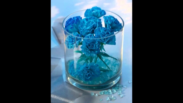 Plavi cvjetovi papira u-staklu-promijenjena