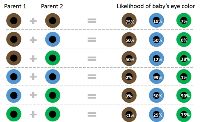 ¿Qué significan las combinaciones de ojos y ojos marrones para padres e hijos?