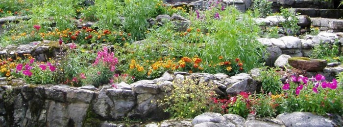 cama de flores-con-piedras-planta-planta verde primavera