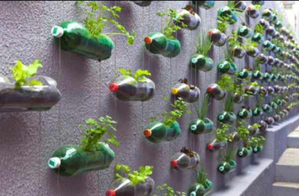 pots de fleurs-à faire soi-même-en-bouteilles-sur-le-mur-pendaison - suggestion intéressante
