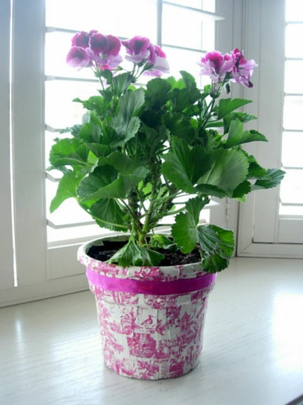 flowerpots-make-yourself-rosy-colors - fleurs aux couleurs violettes